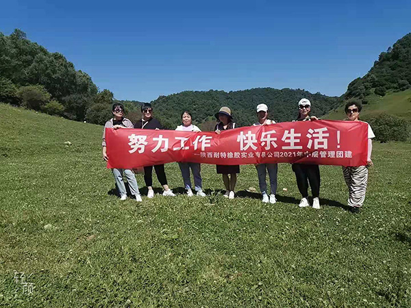 陝西蜜桃91精品入口橡膠實業有限公司2021...